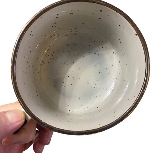 Roadrunner New Mexico Otagiri Style Japan Soup Mug Speckled Glaze - Picture 6 of 6